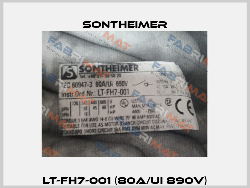 LT-FH7-001 (80A/Ui 890V) Sontheimer