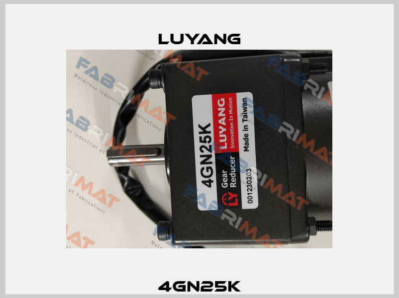 4GN25K Luyang Gear Motor