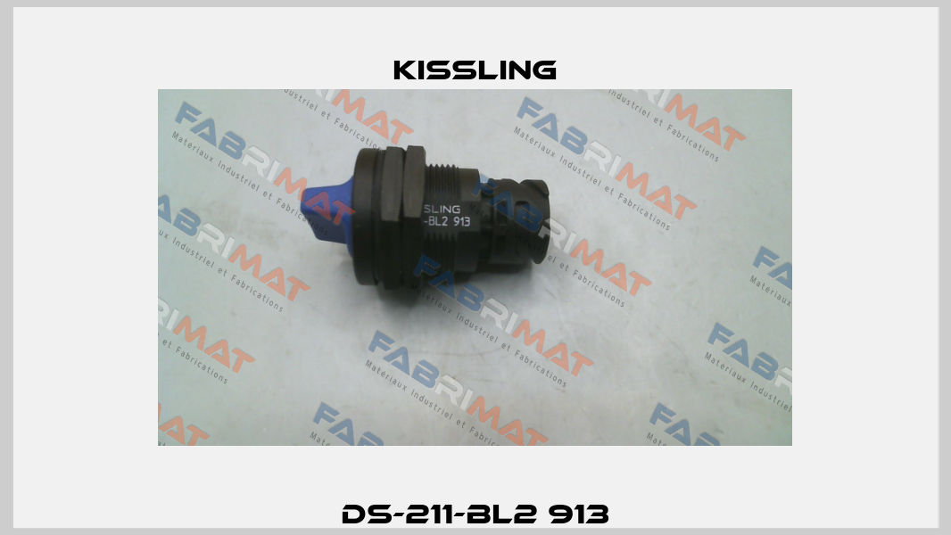 DS-211-BL2 913 Kissling