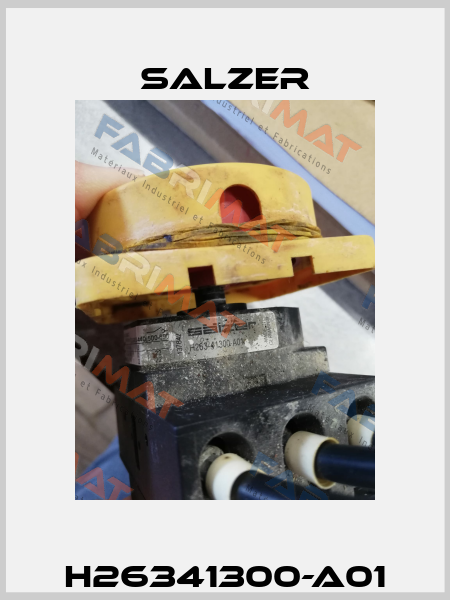 H26341300-A01 Salzer