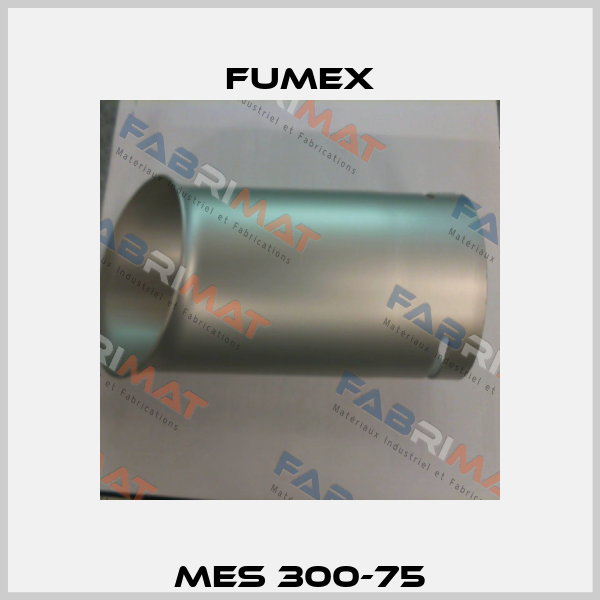 MES 300-75 Fumex