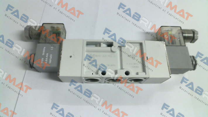 MVSC-300-4E2-AC110-L-G Mindman