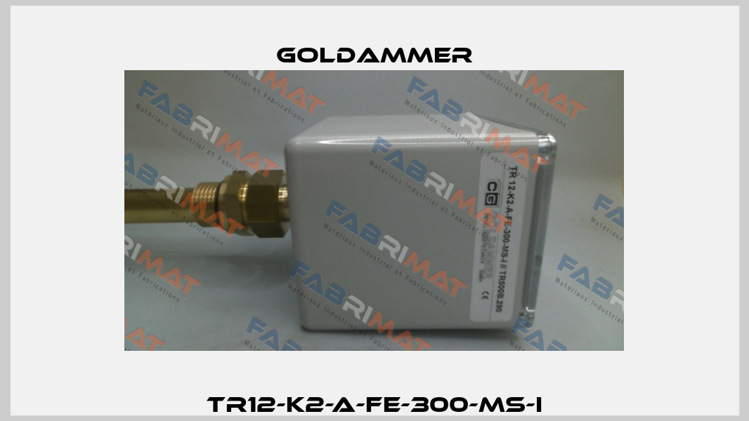 TR12-K2-A-FE-300-MS-I Goldammer