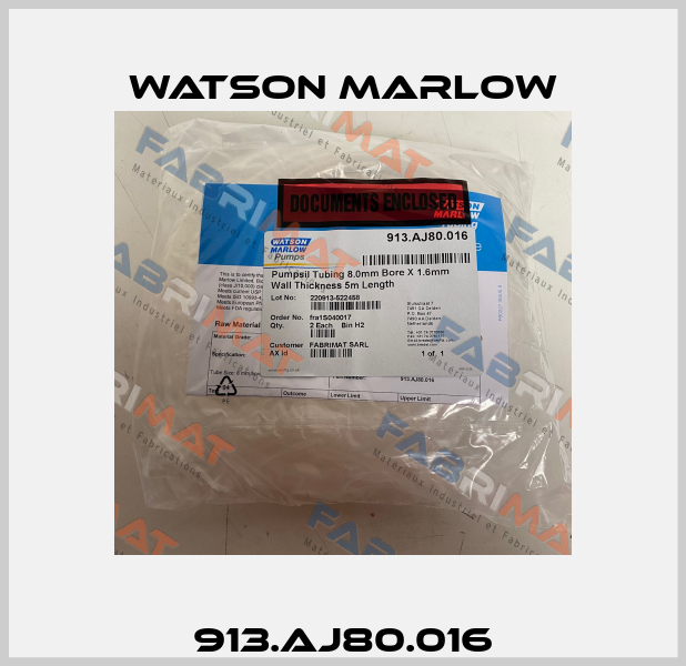 913.AJ80.016 Watson Marlow