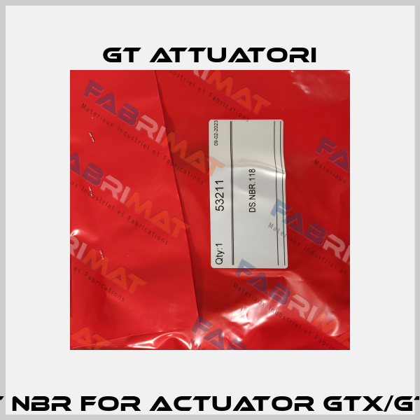 53211 (O-Ring set NBR for Actuator GTX/GTW.118) DS.NBR.118 GT Attuatori