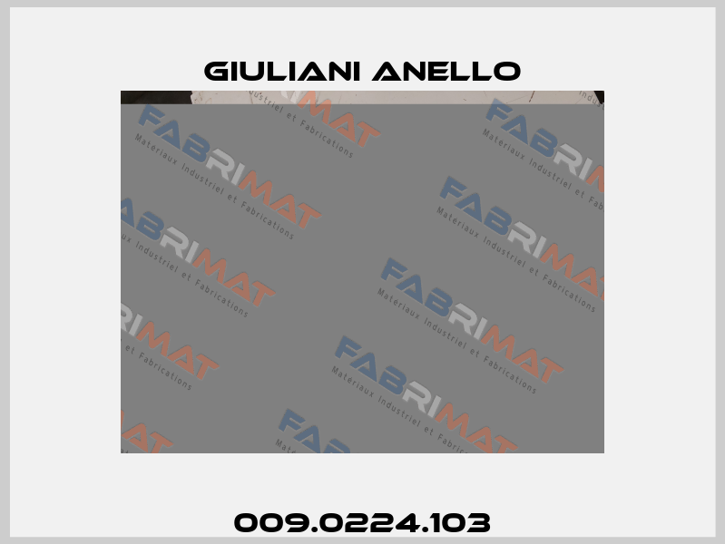 009.0224.103 Giuliani Anello