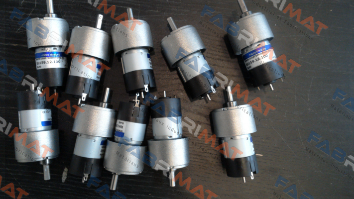 RH159.12.100 Micro Motors