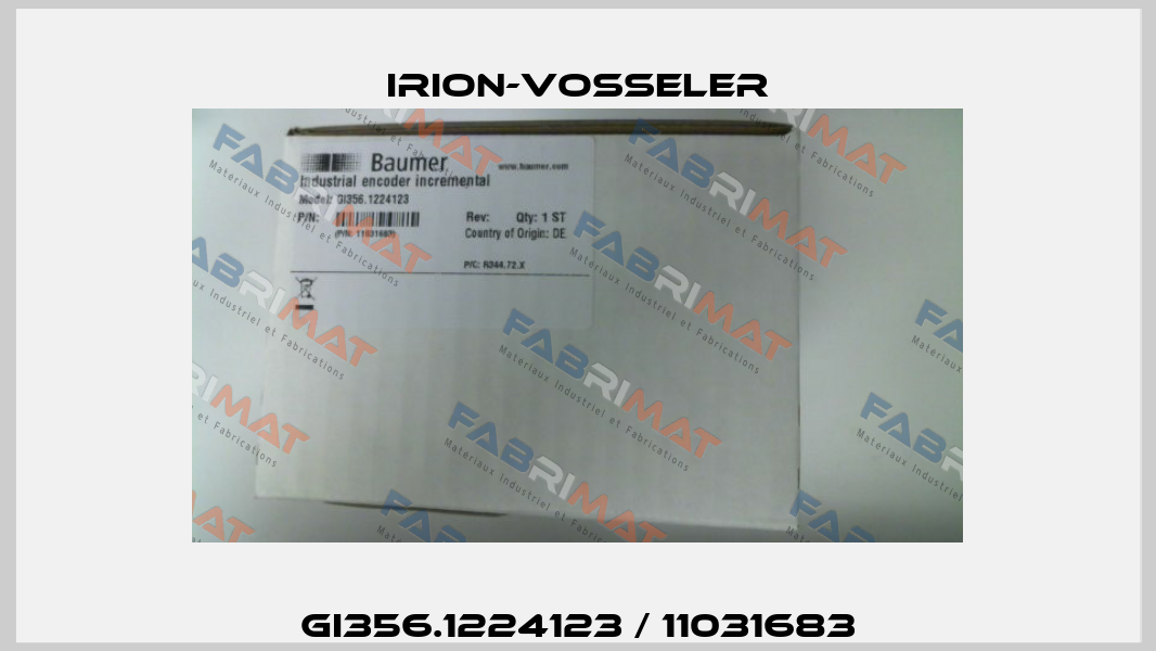GI356.1224123 / 11031683 Irion-Vosseler