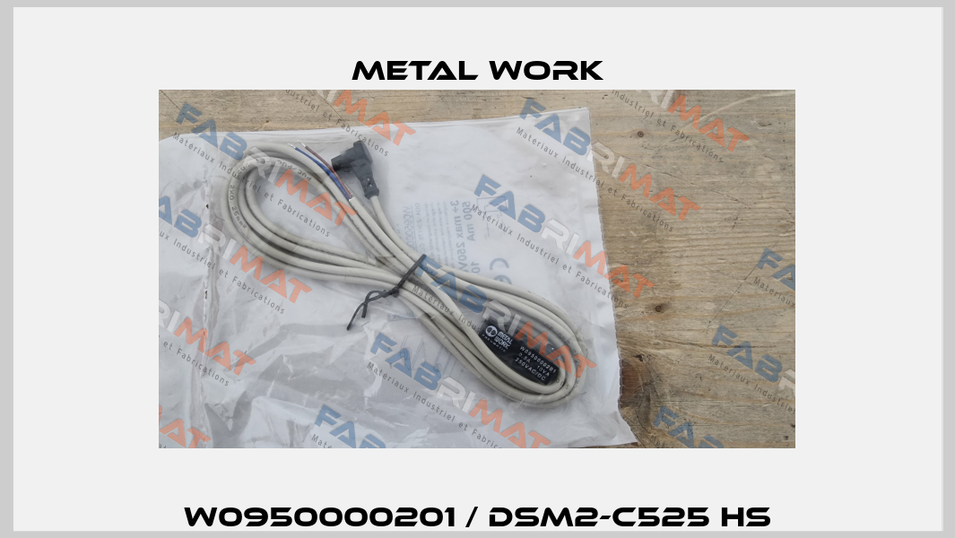 W0950000201 / DSM2-C525 HS Metal Work