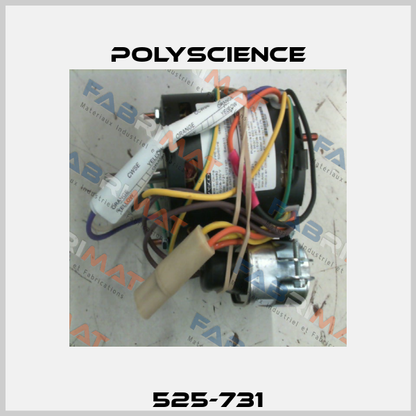 525-731 Polyscience
