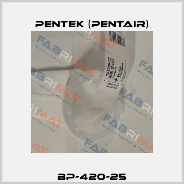 P/N: 155390-03, Type: BP-420-25 (20'') 25μm Pentek (Pentair)