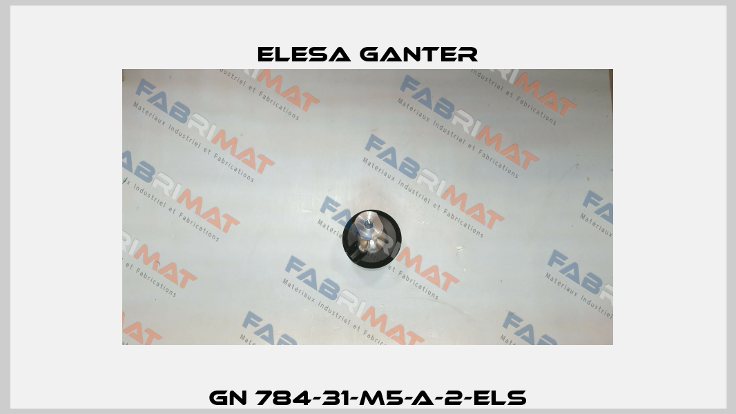 GN 784-31-M5-A-2-ELS Elesa Ganter